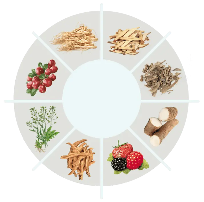 backbiome ingredients